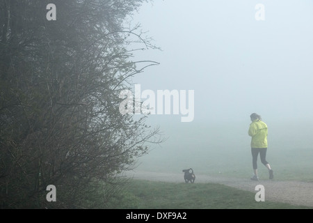 Una donna e il suo piccolo cane corre attraverso la fitta nebbia in Essex woodland. Foto Stock
