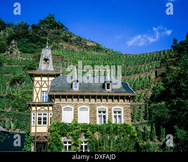 Casa viticoltore e vigneto valle Ahr Renania-Palatinato Germania Europa Foto Stock