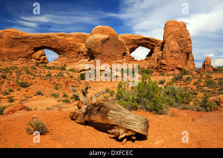 Nord e Sud finestra, Arches National Park, Utah, Stati Uniti d'America Foto Stock