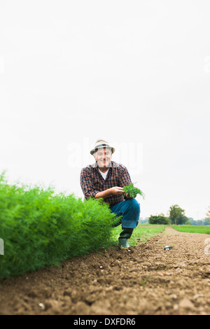 Imprenditore nel campo, impianto di contenimento da raccolto, Germania Foto Stock