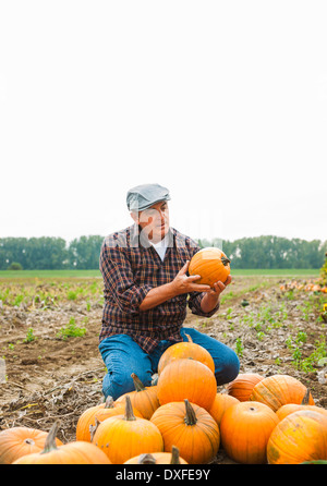 Imprenditore nel campo, accanto alla coltura di zucca, Germania Foto Stock