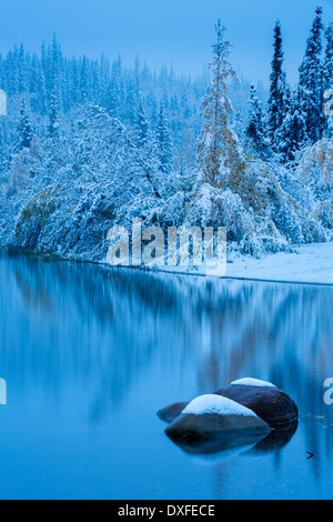 I colori autunnali e la prima nevicata a cinque miglia di lago. Sentiero di argento, Yukon Territori, Canada Foto Stock