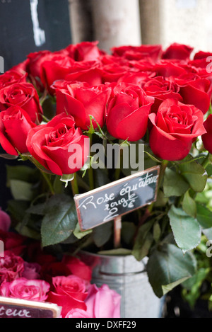 Close-up di mazzo di rose rosse per la vendita, Parigi, Francia Foto Stock