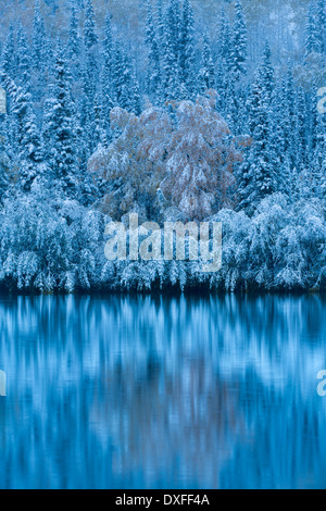 I colori autunnali e la prima nevicata a cinque miglia di lago. Sentiero di argento, Yukon Territori, Canada Foto Stock