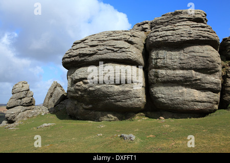 Inizio della primavera a sella tor, Dartmoor Devon, Inghilterra, Regno Unito Foto Stock