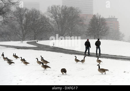 A Washington D.C., USA. 25 Mar, 2014. Due uomini a piedi passato Oche del Canada vicino al Marine Corps War Memorial in Arlington, Virginia, Stati Uniti, 25 marzo 2014. Una molla nevicata si era visto nella capitale il martedì. © Yin Bogu/Xinhua/Alamy Live News Foto Stock