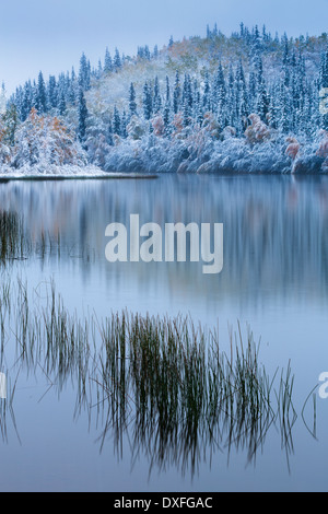 I colori autunnali e la prima nevicata a cinque miglia di lago. Sentiero di argento, Yukon Territori, Canada Foto Stock
