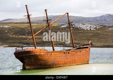 Il naufragio della Signora Elisabetta nella periferia di Port Stanley, la capitale delle Isole Falkland. Foto Stock