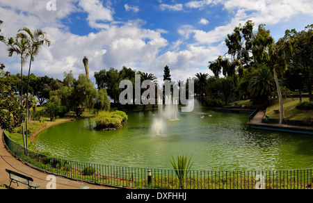 Funchal Madeira Portogallo Parque de Santa Catarina Foto Stock
