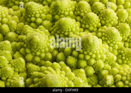 Cavolo broccolo romanesco macro Foto Stock