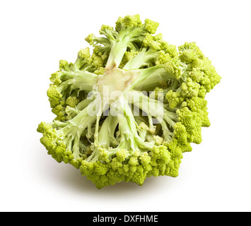 Cavolo broccolo romanesco isolato Foto Stock