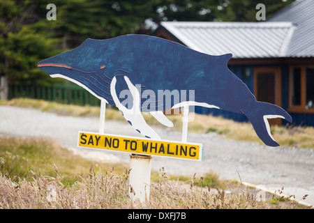 Un padrone di casa a Port Stanley nelle isole Falkland che ha creato un museo della balena, con un anti-caccia alla balena slant. Foto Stock