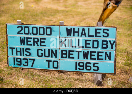 Un padrone di casa a Port Stanley nelle isole Falkland che ha creato un museo della balena, con un anti-caccia alla balena slant. Foto Stock