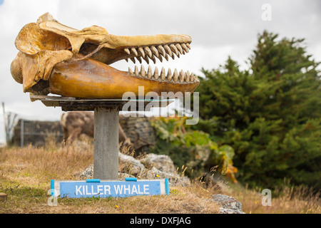 Un padrone di casa a Port Stanley nelle isole Falkland che ha creato un museo della balena, con un anti-caccia alla balena slant. Foto Stock