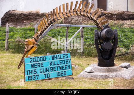 Un padrone di casa a Port Stanley nelle isole Falkland che ha creato un museo della balena, con un anti-caccia alla balena slant. Foto Stock