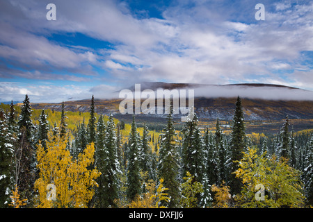 I colori autunnali e la prima neve in Stewart River Valley, Yukon Territori, Canada Foto Stock