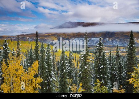 I colori autunnali e la prima neve in Stewart River Valley, Yukon Territori, Canada Foto Stock