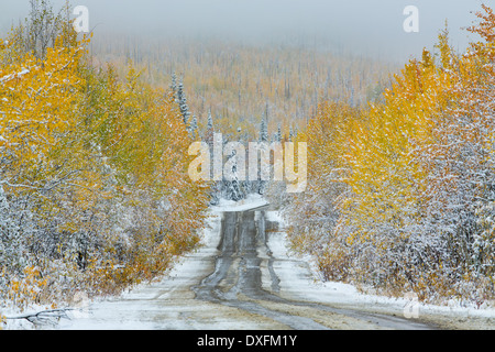 I colori autunnali e la prima nevicata sulla strada per il Keno, argento Trail, Yukon Territori, Canada Foto Stock