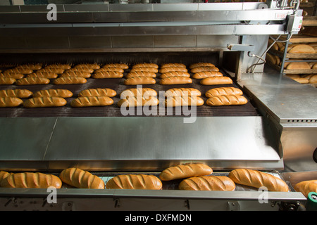 Calda fresca pasta di pane cotto al forno con polpettine sulla linea di produzione Foto Stock