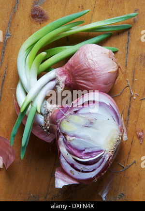 La germogliazione di scalogni su sfondo di legno, studio shot Foto Stock