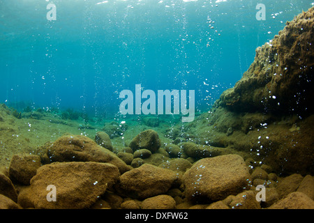 Vulcaniche di bolle di aria in spiaggia Champagne, Mar dei Caraibi, Dominica Foto Stock