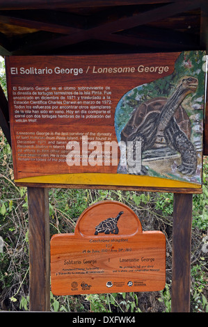 Targa commemorativa per Lonesome George deceduto nel giugno 2012 ultimi noti campioni delle Galapagos La tartaruga gigante di sottospecie di Charles Foto Stock