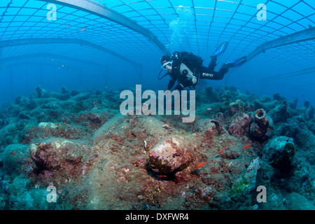 Campo di anfore a Cavtat, Dubrovnik, Mare Adriatico, Croazia Foto Stock