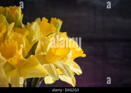 Bunch of daffodils Foto Stock