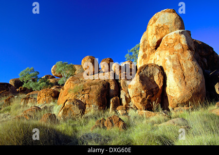 Devils marmi, nei pressi di Tennant Creek, Territorio del Nord, l'Australia Foto Stock