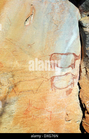 La Tsodilo Hills in Botswana sono famosi per i Boscimani San o pitture rupestri trovate qui. Qui sono i dipinti di rinoceronti un Foto Stock