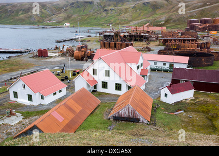 La vecchia stazione baleniera a Grytviken sulla Georgia del Sud. Nei suoi 58 anni di funzionamento, essa gestiti 53,761 macellati balene, Foto Stock