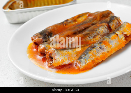 Primo piano di una pila di conserve di sardine in una piastra Foto Stock