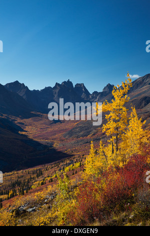 Oggetto contrassegnato per la rimozione definitiva di montagna e la tomaia Grizzly Creek in autunno, Lapide parco territoriale, Yukon Territori, Canada Foto Stock