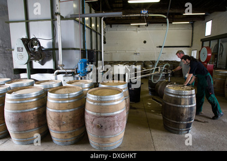 Botti di whisky nella distilleria Ardbeg, isola di Islay, Ebridi Interne, Scozia Foto Stock