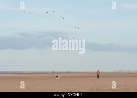 Passeggiate con il cane. Foto Stock