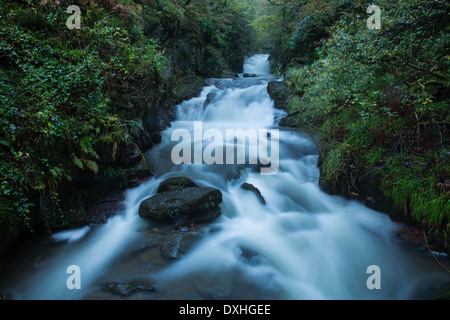 Watersmeet, dove le valli dell'Oriente Lyn e trasformata per forte gradiente Oak acqua si fondono, Parco Nazionale di Exmoor, Devon, Inghilterra, Regno Unito Foto Stock