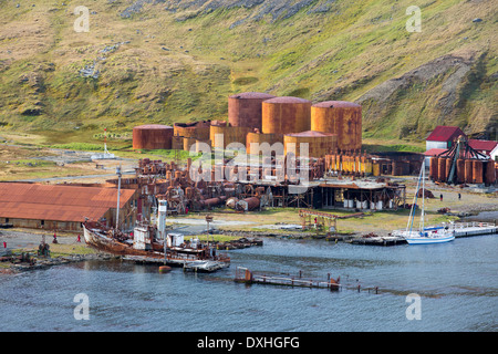 La vecchia stazione baleniera a Grytviken sulla Georgia del Sud. Nei suoi 58 anni di funzionamento, essa gestiti 53,761 macellati balene, Foto Stock