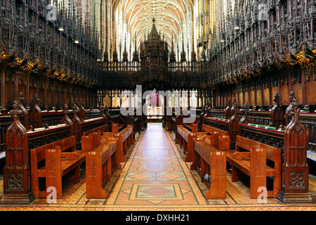 Uno di (25) le immagini relative ad aspetti interni di Chester Cathedral dal fotografo Peter Wheeler. Si prega di visualizzare il set completo individualmente. Foto Stock