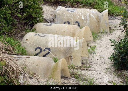 Artificiale grotta di nidificazione per i pinguini Jackass, Boulders Beach, Simons Town, Western Cape, Sud Africa / (Spheniscus demersus) Foto Stock
