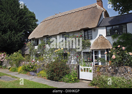 Un perfetto inglese cottage in paglia in estate Foto Stock