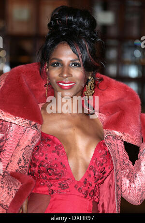 Londra, Regno Unito. 26 Mar, 2014. Sinitta assiste la stampa notturna del nuovo musical 'Non riesco a cantare' al London Palladium foto: MRP/Alamy Live News Foto Stock