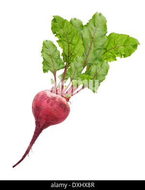 La barbabietola rossa con foglie isolati su sfondo bianco Foto Stock