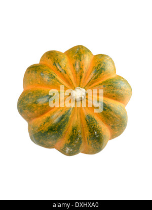 Acorn Squash isolati su sfondo bianco Foto Stock