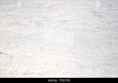 Close up della neve fresca Foto Stock