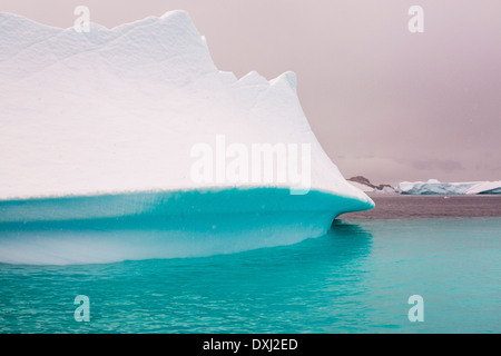 Iceberg in prossimita' Curverville isola sulla penisola Antartica, che è uno dei più veloci tra luoghi di riscaldamento del pianeta. Foto Stock