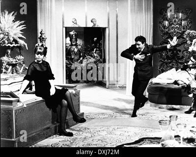 IL MAGNIFICO BOBO Foto Stock