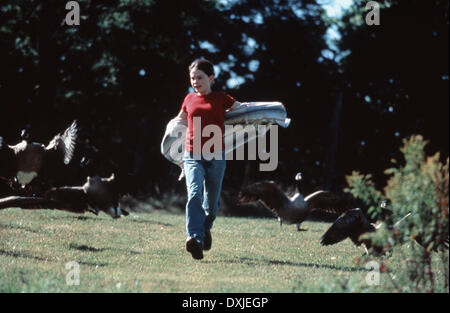 FLY AWAY HOME Foto Stock