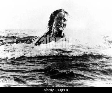 JAWS, 1975, Film, Movie, Foto Stock