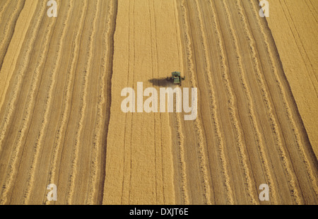 Mietitrebbia in campo di grano vista aerea Foto Stock