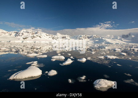 Il stretto di Gerlache separando la Palmer Arcipelago dall'Antartico peninsulare off Anvers Island Foto Stock